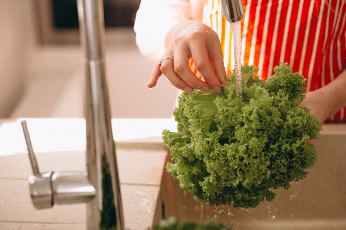 Todo acerca de la Higiene de los Alimentos