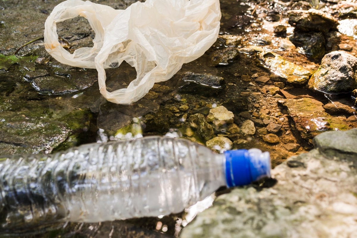 ¿Cómo prevenir la contaminación del agua?